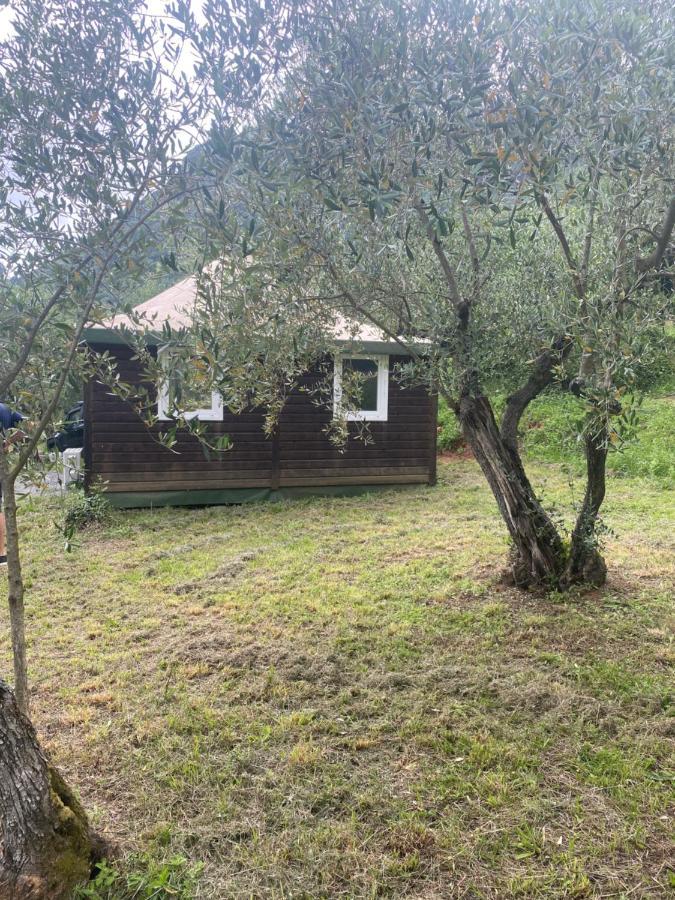 Sotto Il Cielo Di Toscana Appartamenti In Tenuta Only Adults No Pet Camaiore Exteriör bild