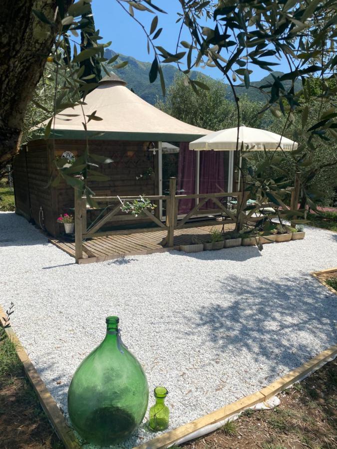 Sotto Il Cielo Di Toscana Appartamenti In Tenuta Only Adults No Pet Camaiore Exteriör bild