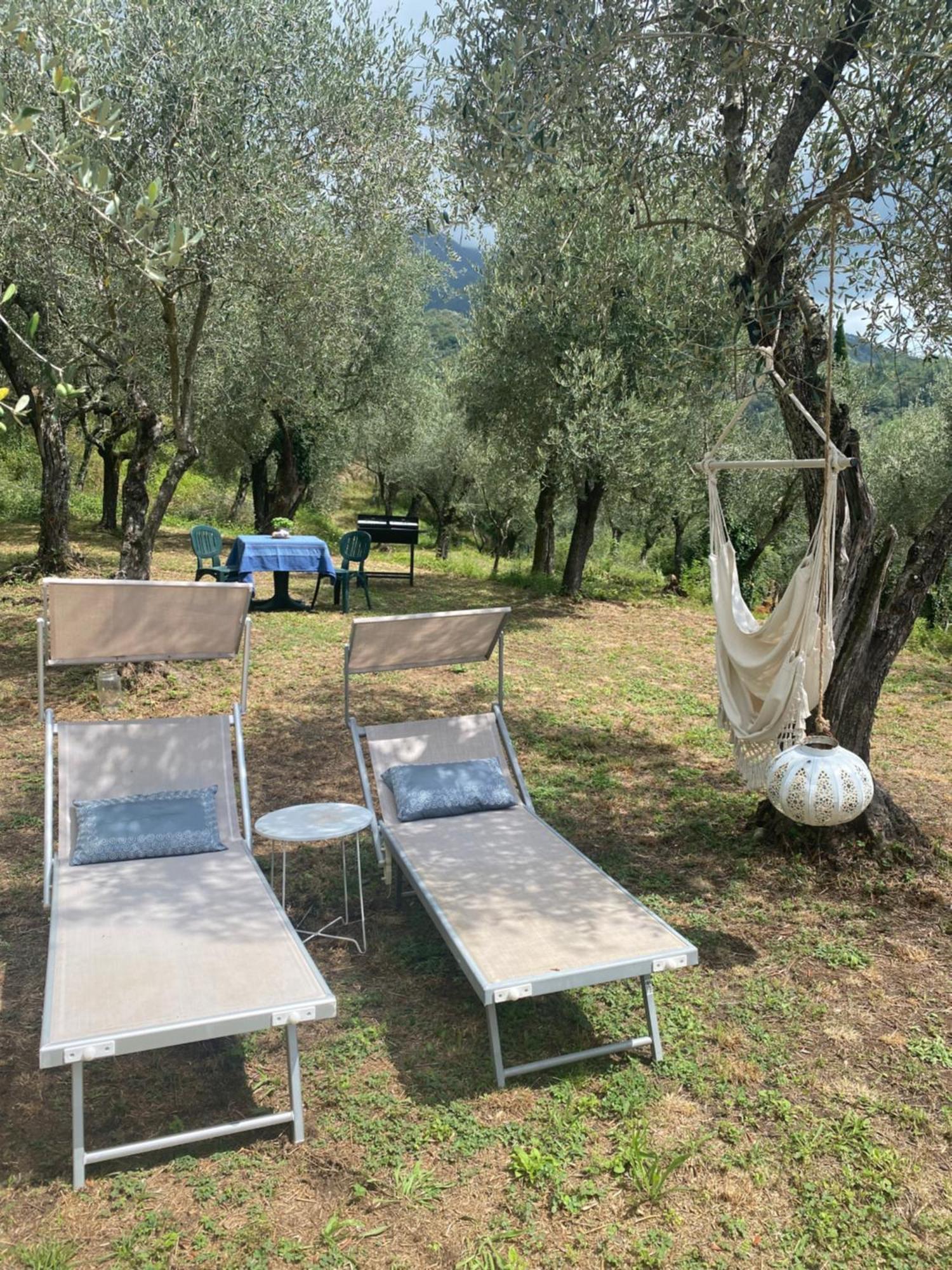 Sotto Il Cielo Di Toscana Appartamenti In Tenuta Only Adults No Pet Camaiore Exteriör bild