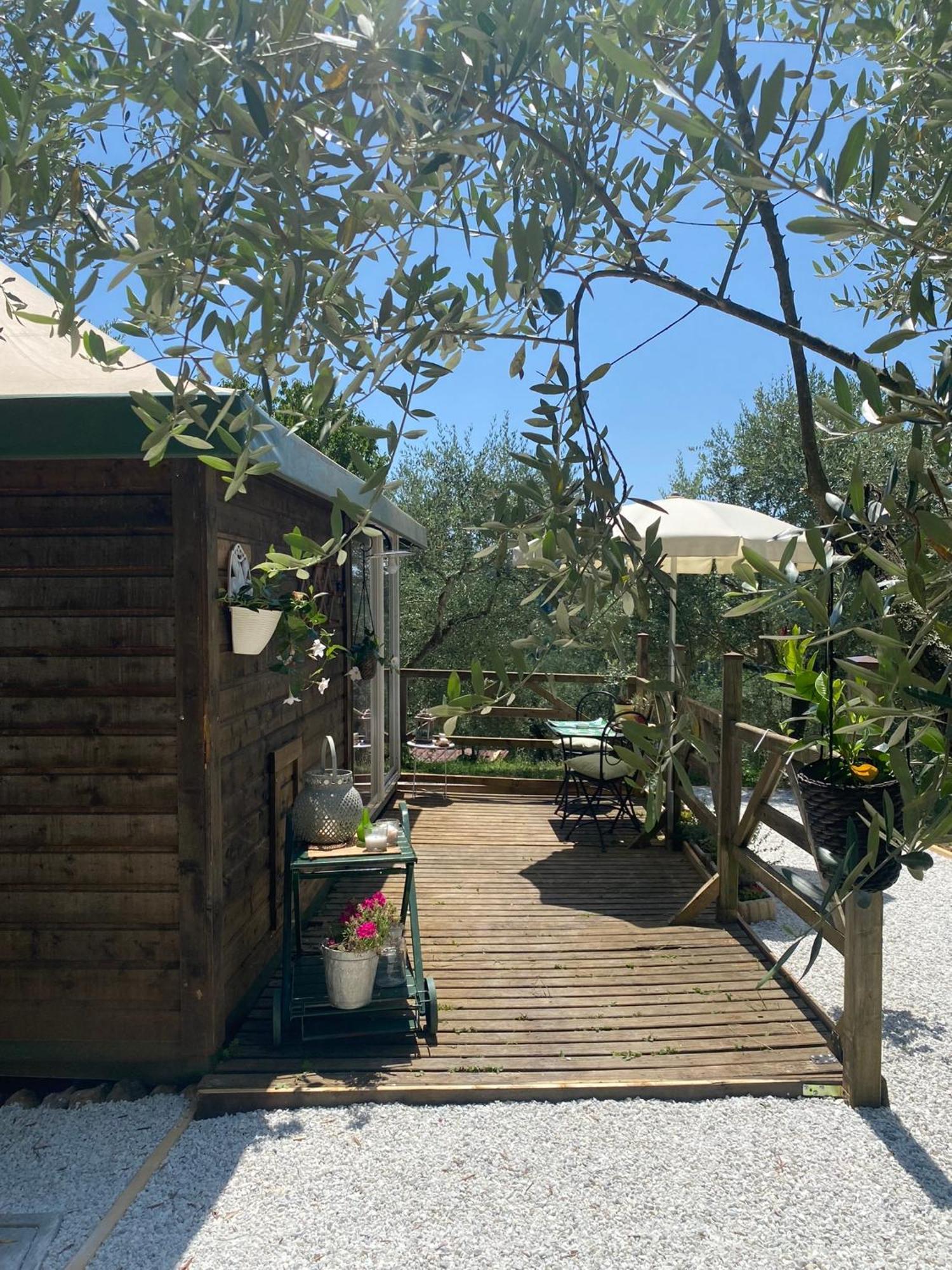 Sotto Il Cielo Di Toscana Appartamenti In Tenuta Only Adults No Pet Camaiore Exteriör bild
